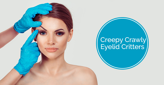 Creepy Crawly Eyelid Critters  Herzig Eye Institute